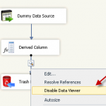 How to use SSIS Data Viewer in DataFlow Task